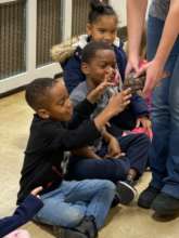 Students meeting Bob, the box turtle!