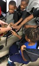 Participants touching a box turtle!