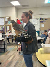 Elementary meeting Maple