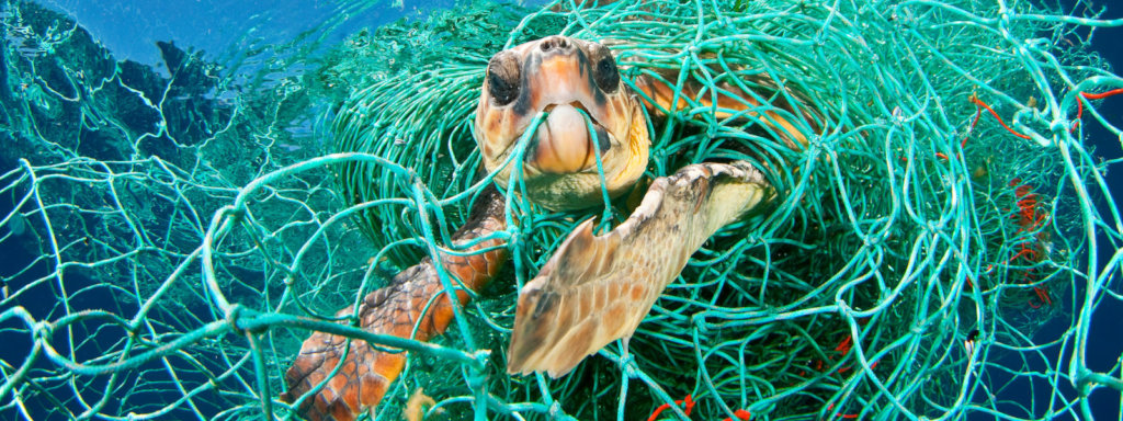 SAVE PLANET EARTH - TIDE TURNERS