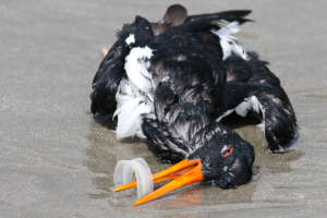 SAVE PLANET EARTH - TIDE TURNERS