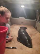 Kat arrives at Wildtracks