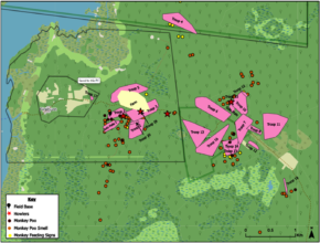 Mapping of howler monkey troops at Fireburn, 2023