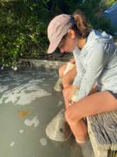 Kit and Kat - the early morning feed