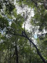 Keeping the 'Wild' in 'Wildlife'