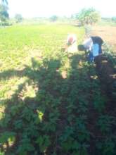 Talandira Women's Farm