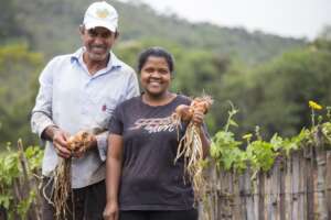 Local farmers distributed food to hungry families.