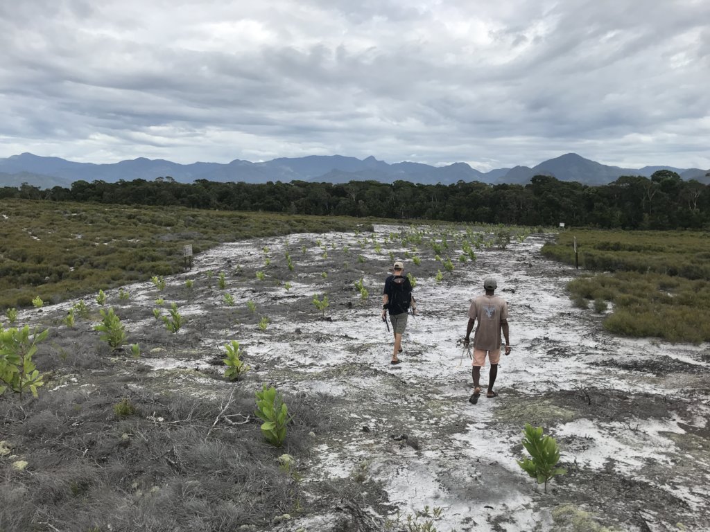 Conserving forest biodiversity in Madagascar