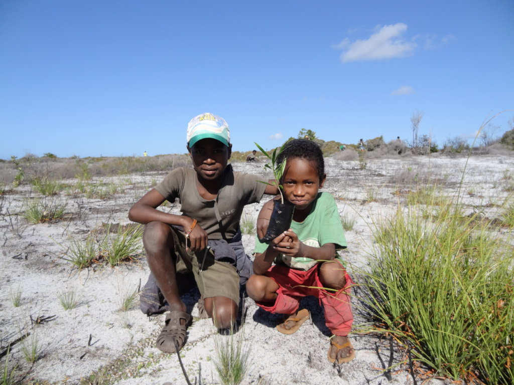 Conserving forest biodiversity in Madagascar