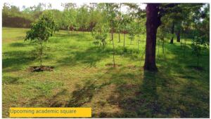Up coming Academic Square