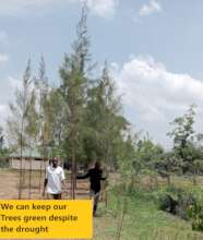 With our borehole in place we stay green always