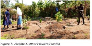 Ornamental trees and flowers planted