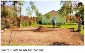 Site ready for planting