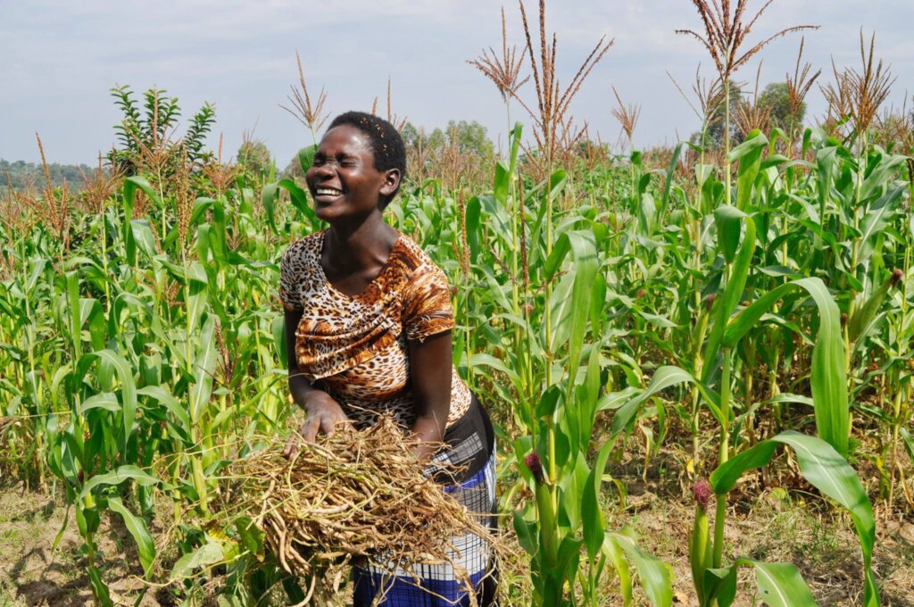 Help 1000 women farmers with good quality seeds
