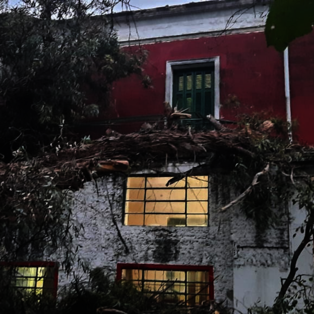 Repair roof of Residential Home for 50 elderly
