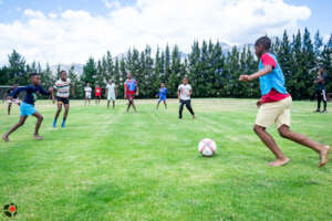Our very own World Cup 2022