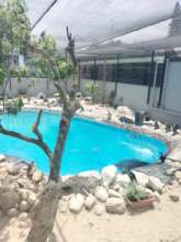SANCCOB-rehabilitation centre for African Penguin