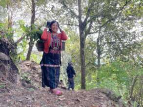Carrying trees uphill