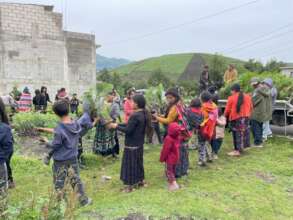 Trees delivery and distribution