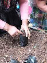 Sowing seeds