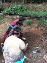 sowing seeds