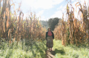 "Seeds of Resilience: An Indigenous Women-Led Tree