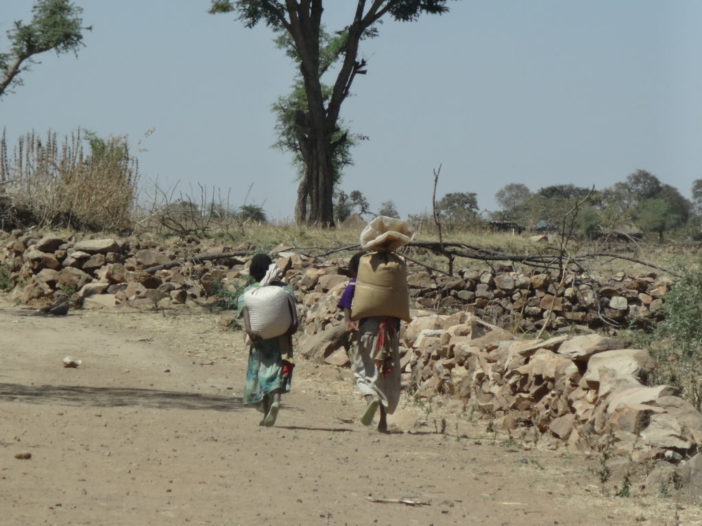 Women in Crisis in Tigray, Ethiopia