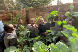 VF Academy garden