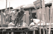BETTER VISION FOR THE PEOPLE OF SOGUNRO, LAGOS