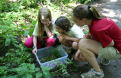 Create next generation of environmental stewards