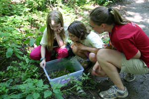 Create next generation of environmental stewards