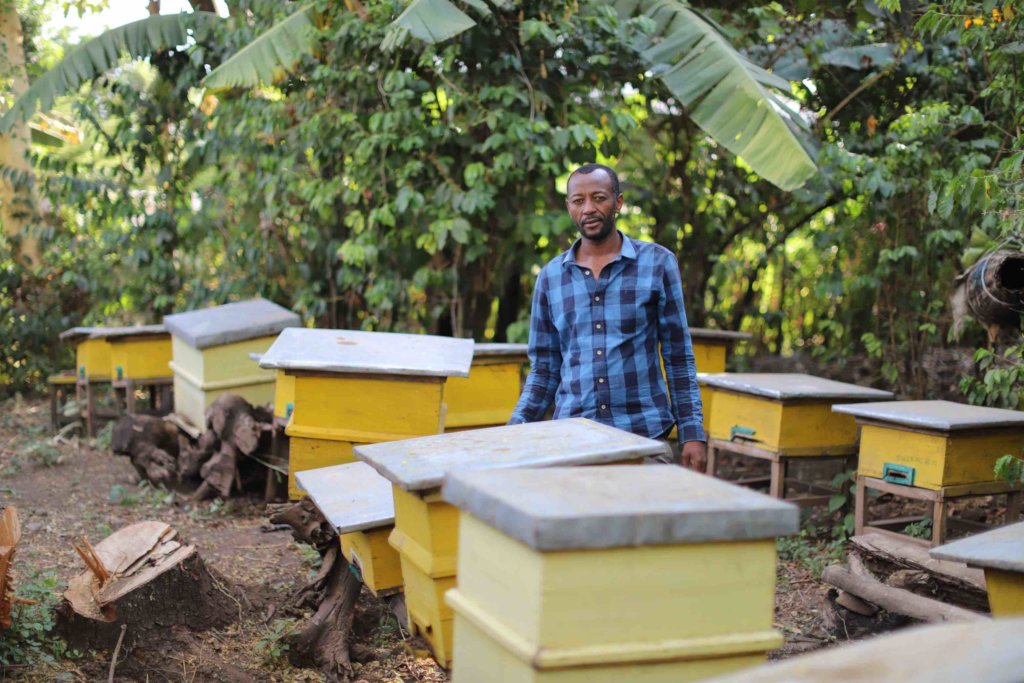 Earning money from bees, a new venture