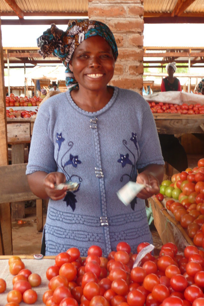 Create a sustainable living for families in Malawi