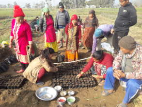 Beneficiaries Growing Vegetables