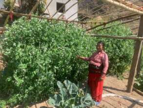 Growing vegetables by women farmer
