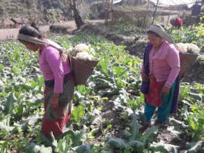 Vegetable selling by Victims