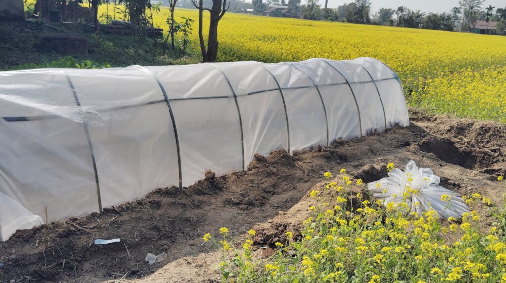 Preparing nursery for farming