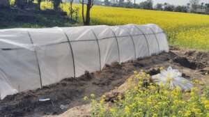 Preparing nursery for farming