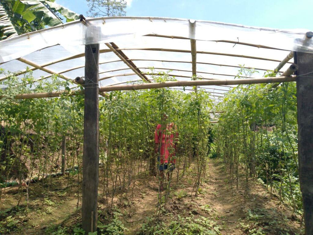 Support and Help Flood Affected People in Nepal