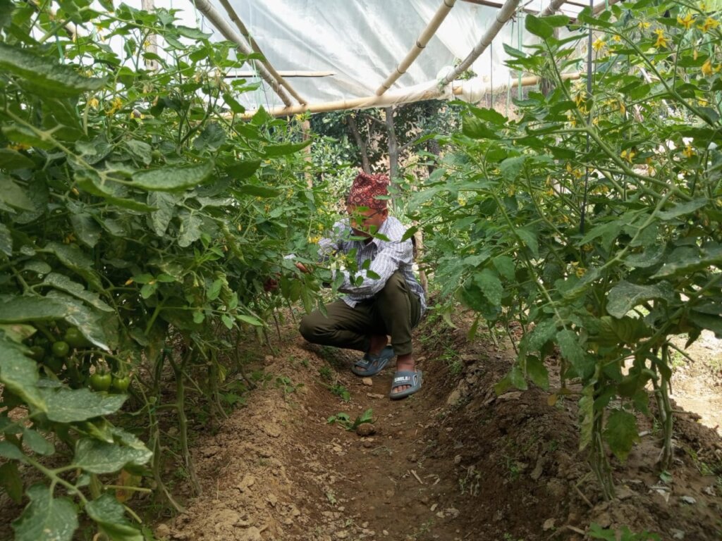 Support and Help Flood Affected People in Nepal