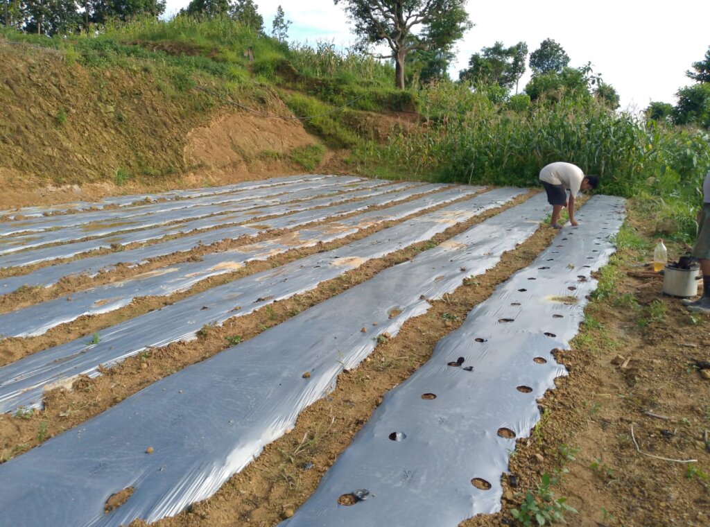 Support and Help Flood Affected People in Nepal