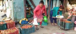 Tomato marketing for income