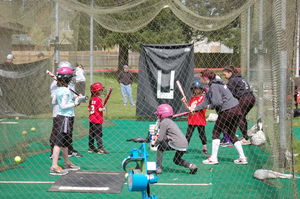 Bunting