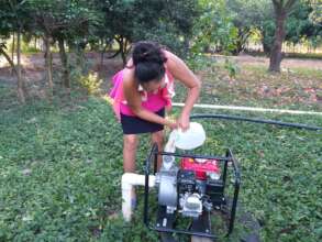 Maintaining pump for irrigating gardens