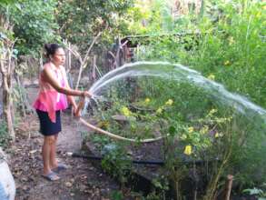 Irrigating existing gardens