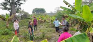 Agroecological plot