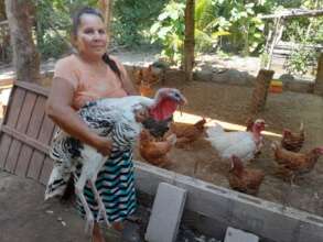 Chicken Farm and a Turkey