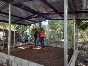 Building chicken farms