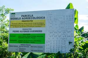 Agroecology