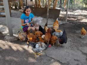 Marisol feeding her chicken
